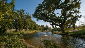 A tranquil garden with a pond, surrounded by lush greenery and trees. - L'Araba Fenice (Altavilla Silentina)