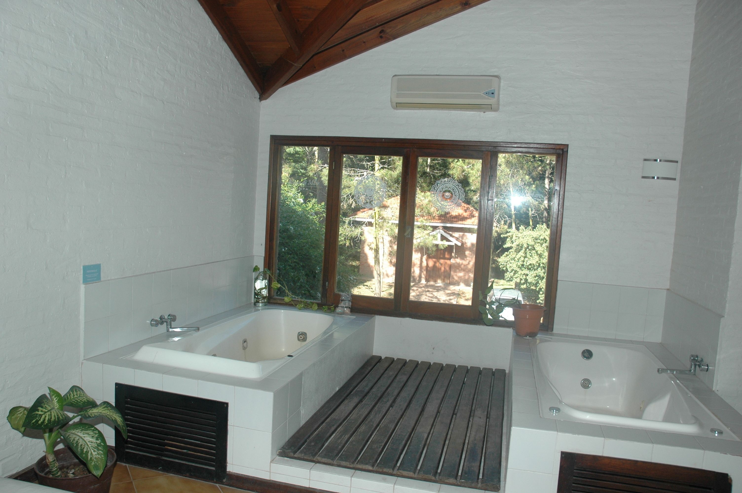 A bathroom with two separate tubs, a window with a view of greenery, and a potted plant.