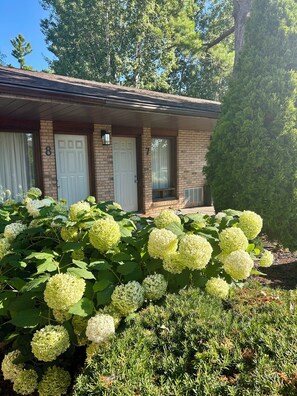 Exterior - Rideau Heights Inn (Ottawa)
