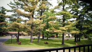 A residential area with a lawn, trees, and a house.