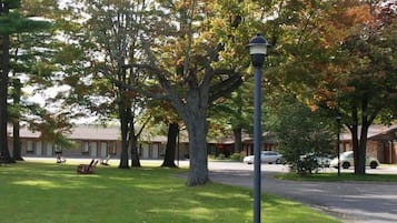 Stroll through the well-manicured lawn surrounded by autumnal trees.