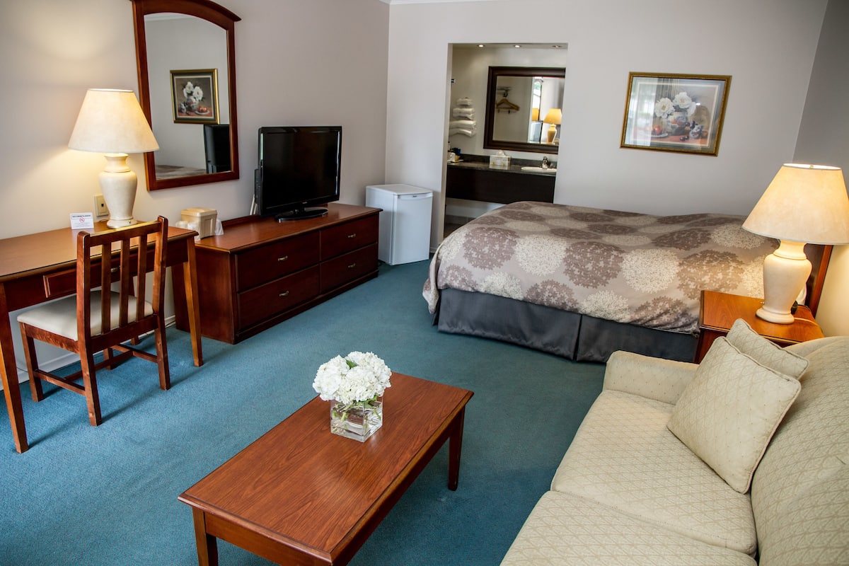 A hotel room with a bed, a desk, a chair, a television, a dresser, a mirror, and a lamp.