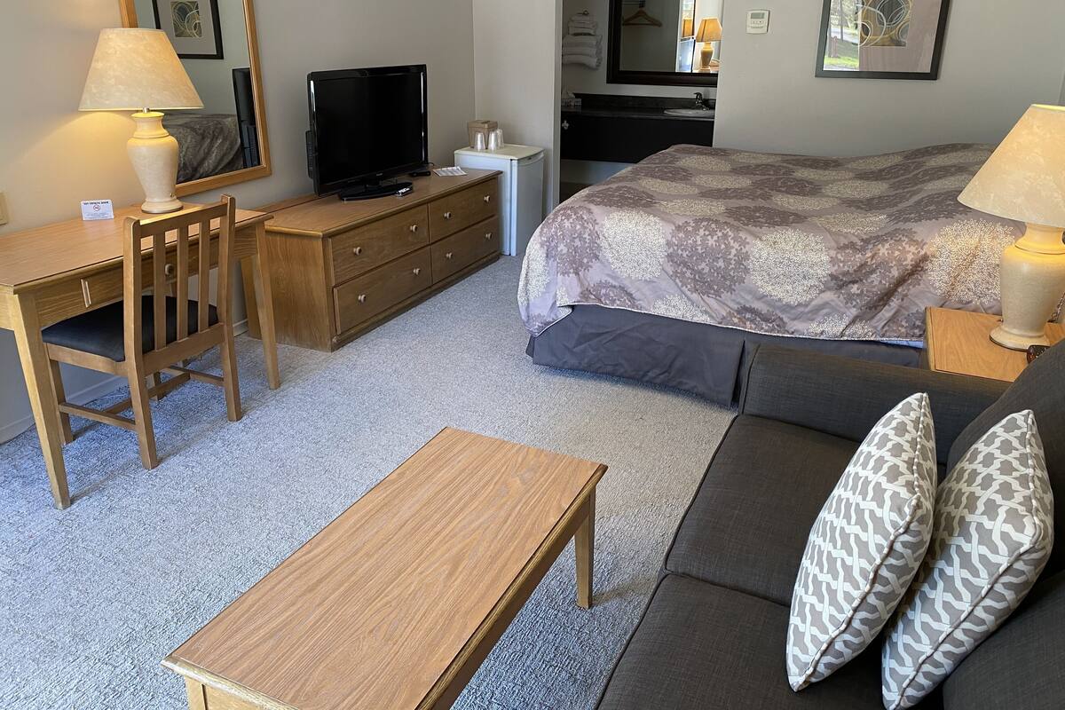 A hotel room with a bed, a desk, a television, a dresser, and a sofa.
