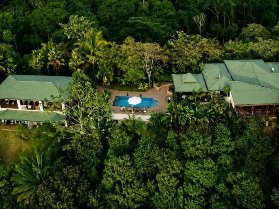 Una casa grande rodeada de exuberante vegetación tropical, con piscina y varias edificaciones con techo verde.