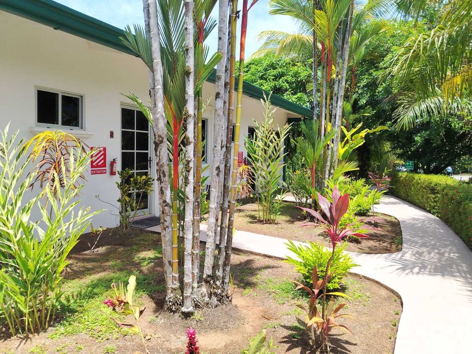 A building with a white exterior, a green roof, and a pathway leading to the entrance. There are various plants and trees around the building, including palm trees and bamboo.