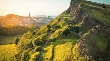 A hill with a path leading to a town with buildings and a church.