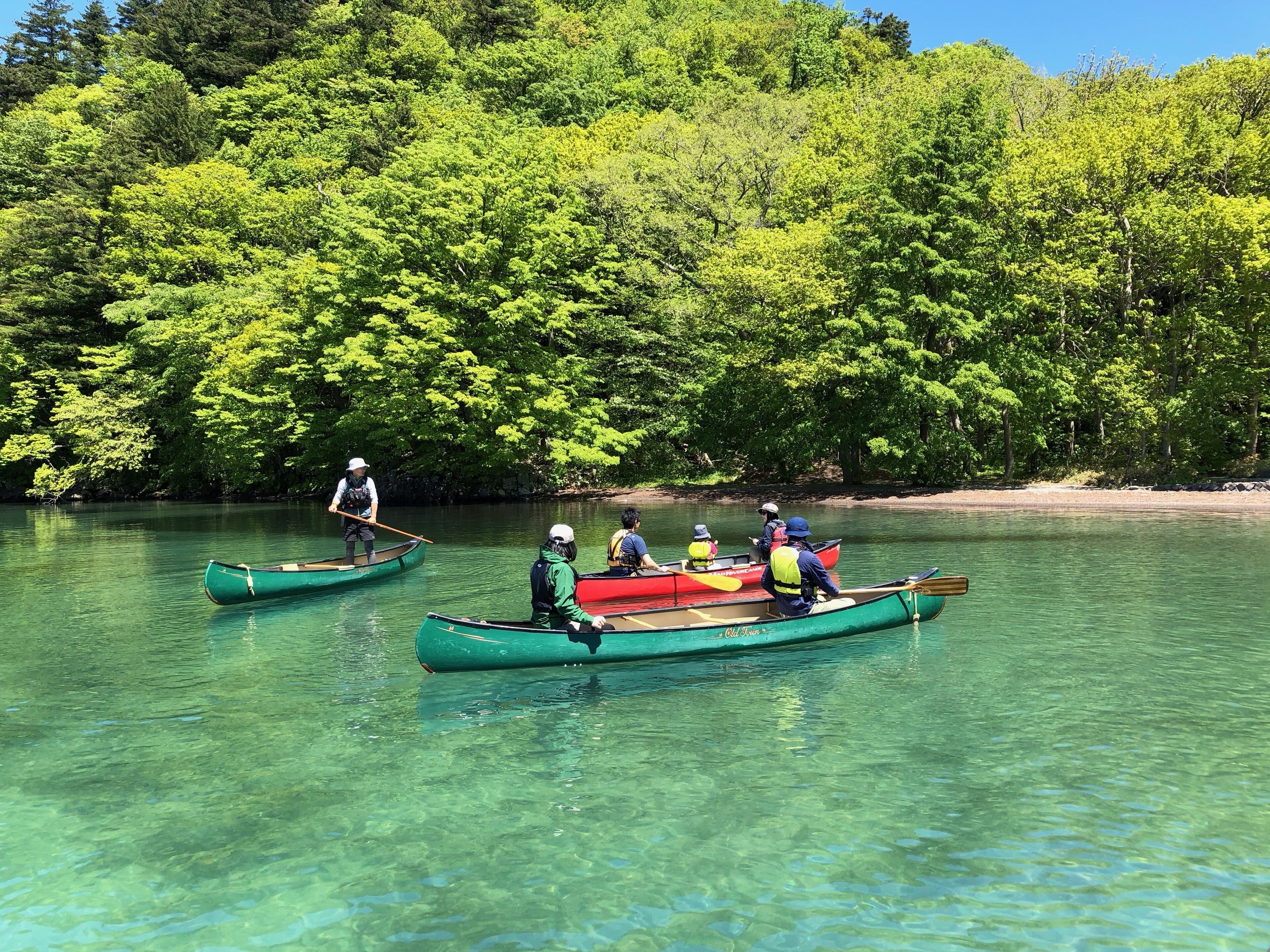 Dos canoas en un río tranquilo rodeado de un bosque verde denso.