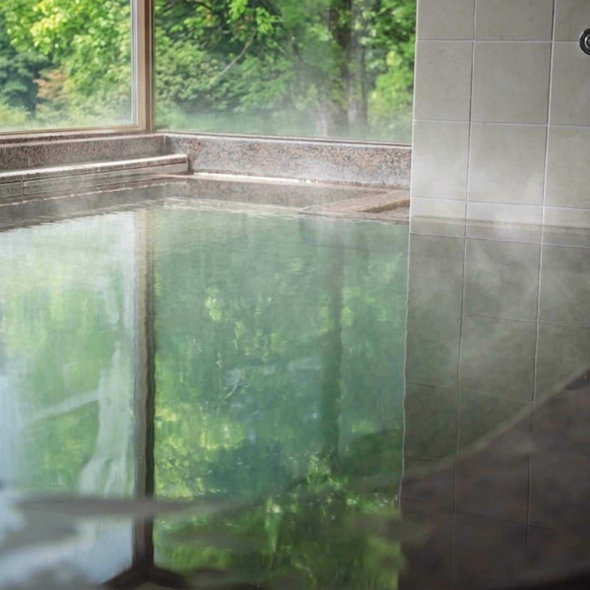 Piscina interior transparente con vista a árboles a través de la ventana.