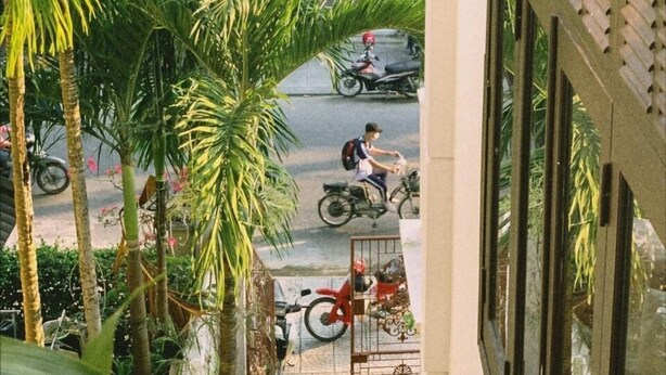 A view from a window overlooking a street with motorcycles parked along the sidewalk, surrounded by palm trees and a building with a lattice facade. - An Hien Homestay Hoi An (Da Nang)