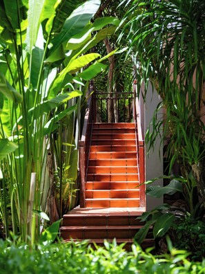 Jardin