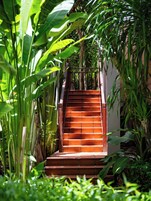 Una escalera rodeada de abundante vegetación que lleva a un edificio con fachada blanca.
