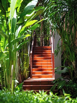 Jardin