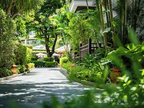 Jardim