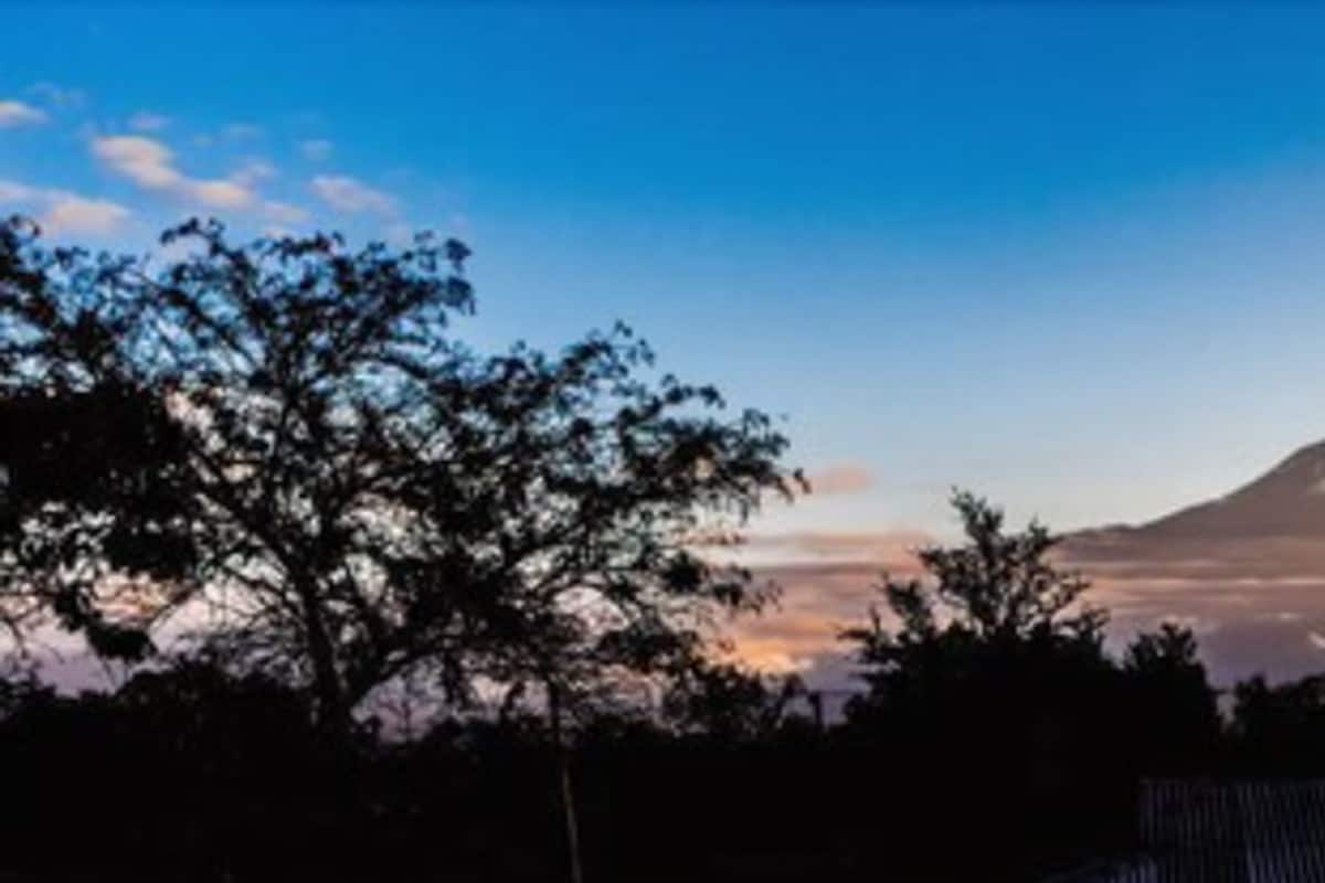Vista desde la habitación