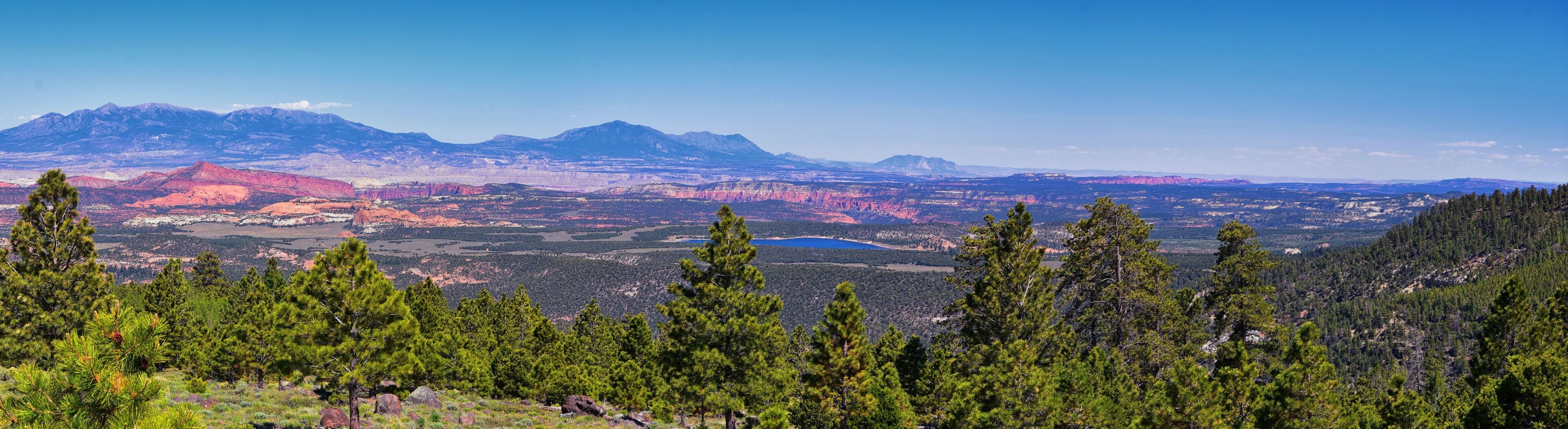 Paisaje montañoso con densos bosques de pino en primer plano y una vista de montañas lejanas bajo un cielo despejado.