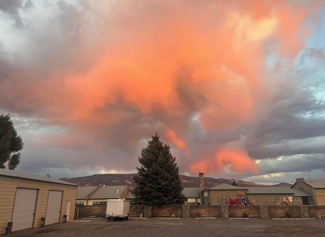 A parking lot with buildings and a tree.