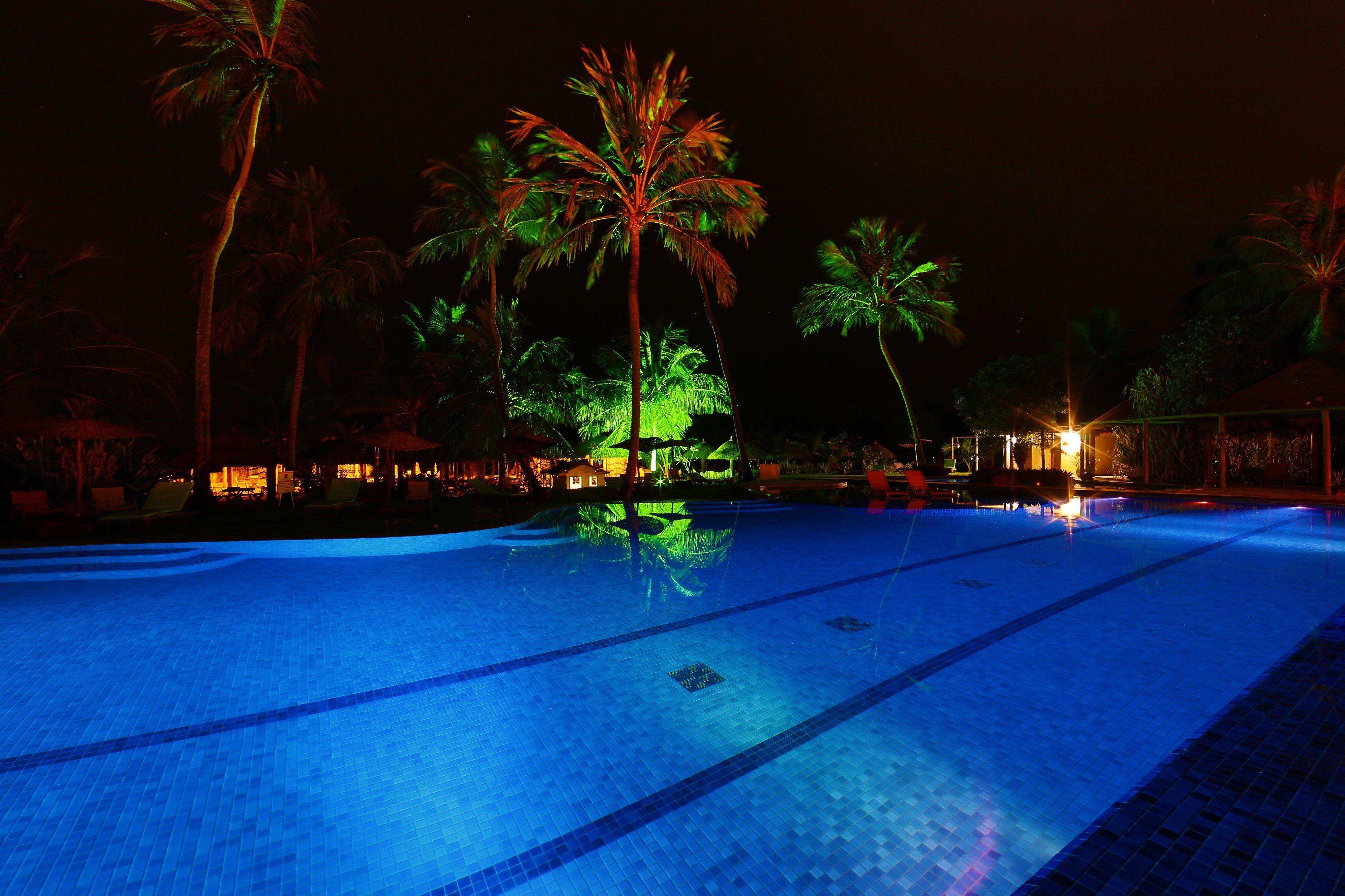 Una piscina nocturna con marcas claras de carriles, rodeada de palmeras e iluminada con luz ambiental.