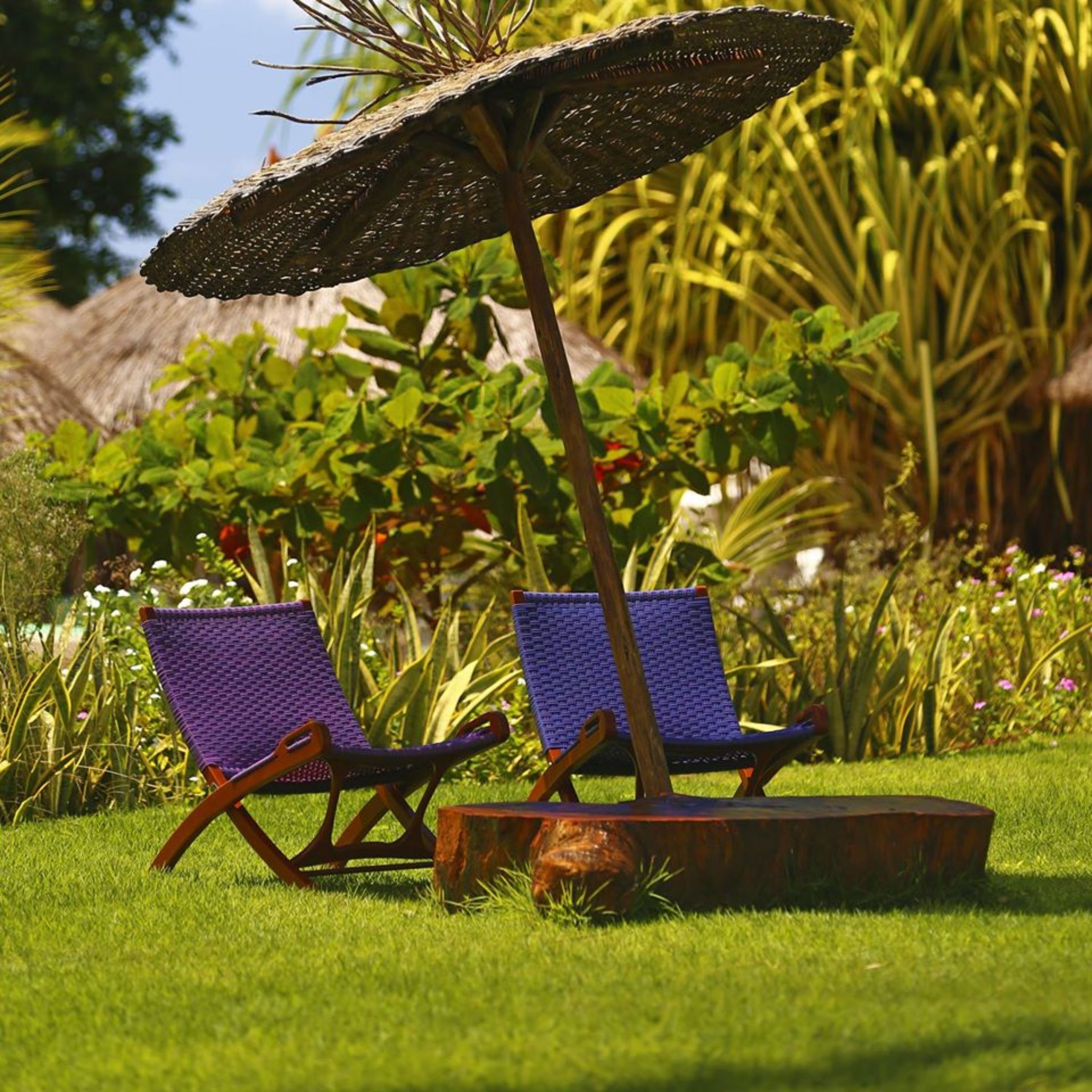 Dos sillones morados con estructura de madera y un parasol tejido en un jardín.
