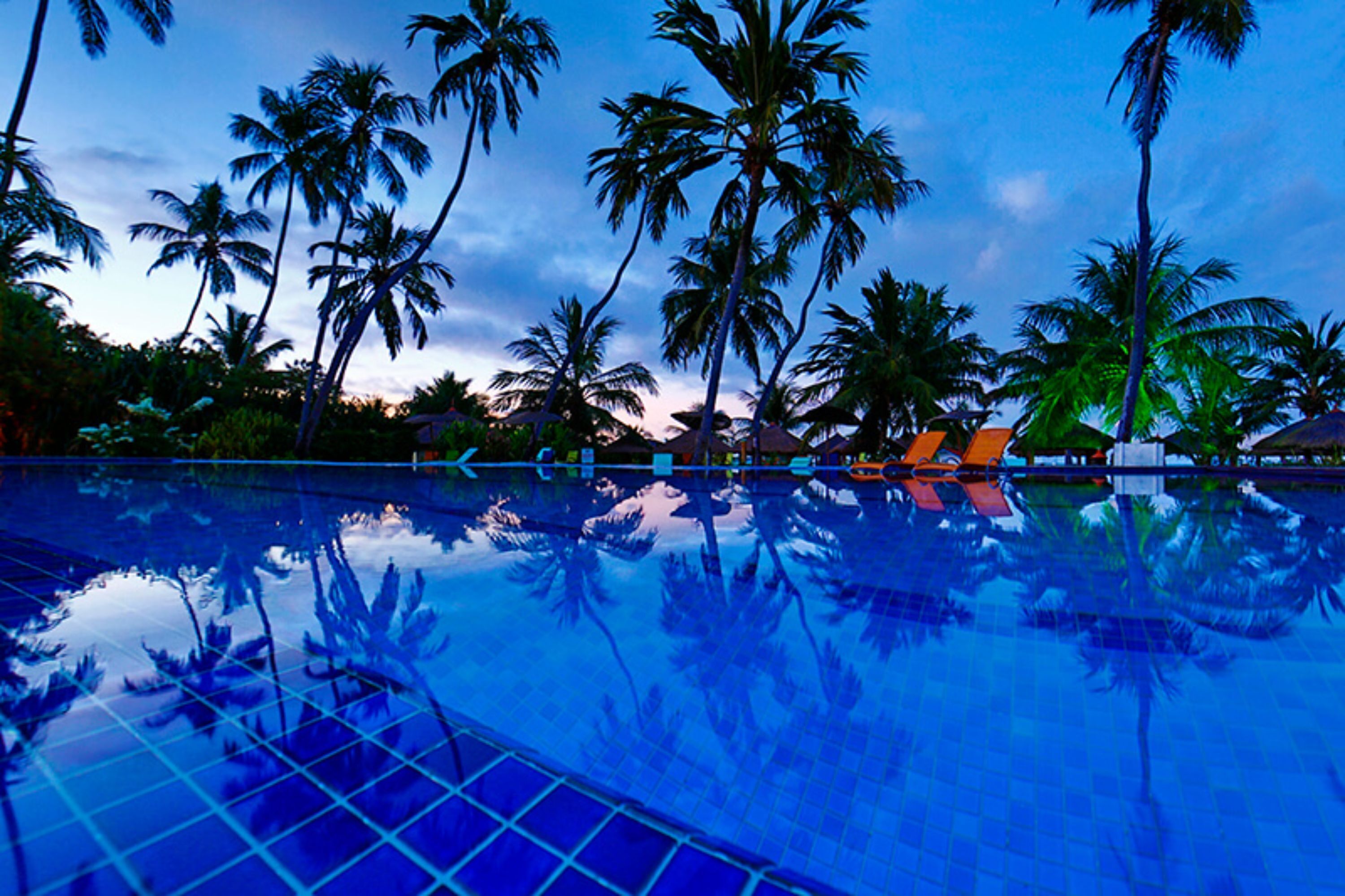 A pool reflecting palm trees and a sunset sky.