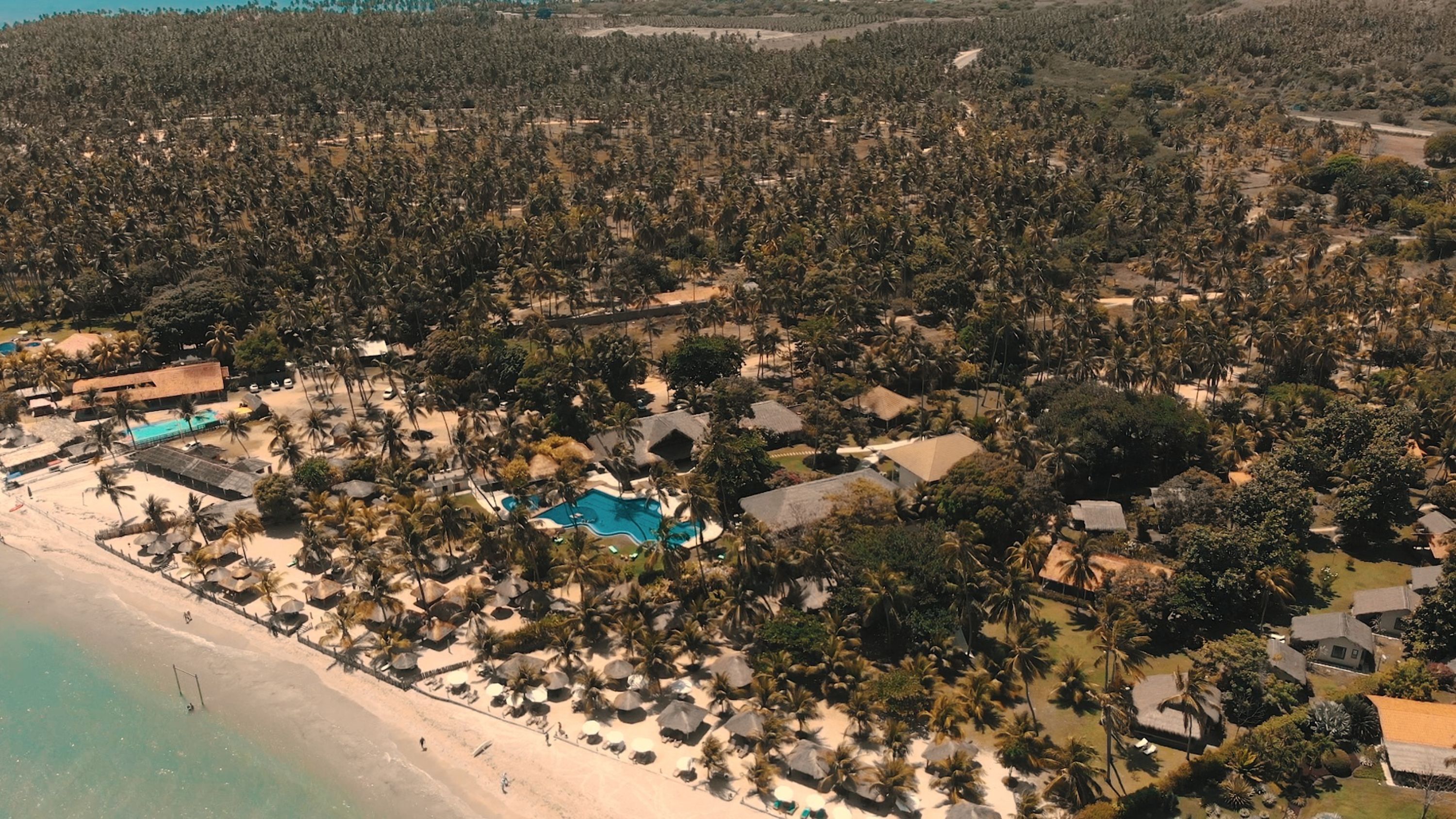 An aerial view of a resort with a swimming pool, beach, and dense palm tree coverage.