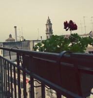 Vista desde la habitación