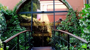 Una escalera con barandilla de hierro forjado que lleva a una puerta de cristal enmarcada por follaje.