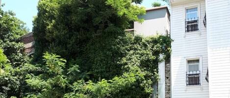 Un edificio blanco con fachada de piedra, varias ventanas y un balcón.