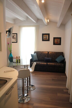 Leilighet – exclusive, terrasse | Eget kjøkken | Kjøleskap