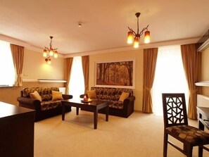 32-厘米液晶电视 （配备卫星频道）、电视