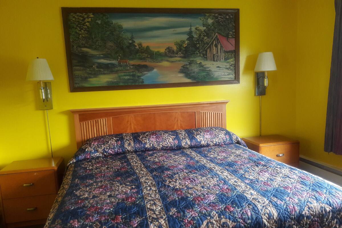 Room, 1 King Bed