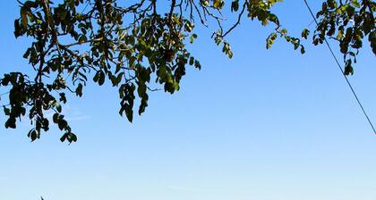 Aberdare Country Club