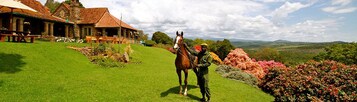 Un caballo con jinete en una colina cubierta de hierba, un edificio de piedra con techo rojo y vistas del paisaje.