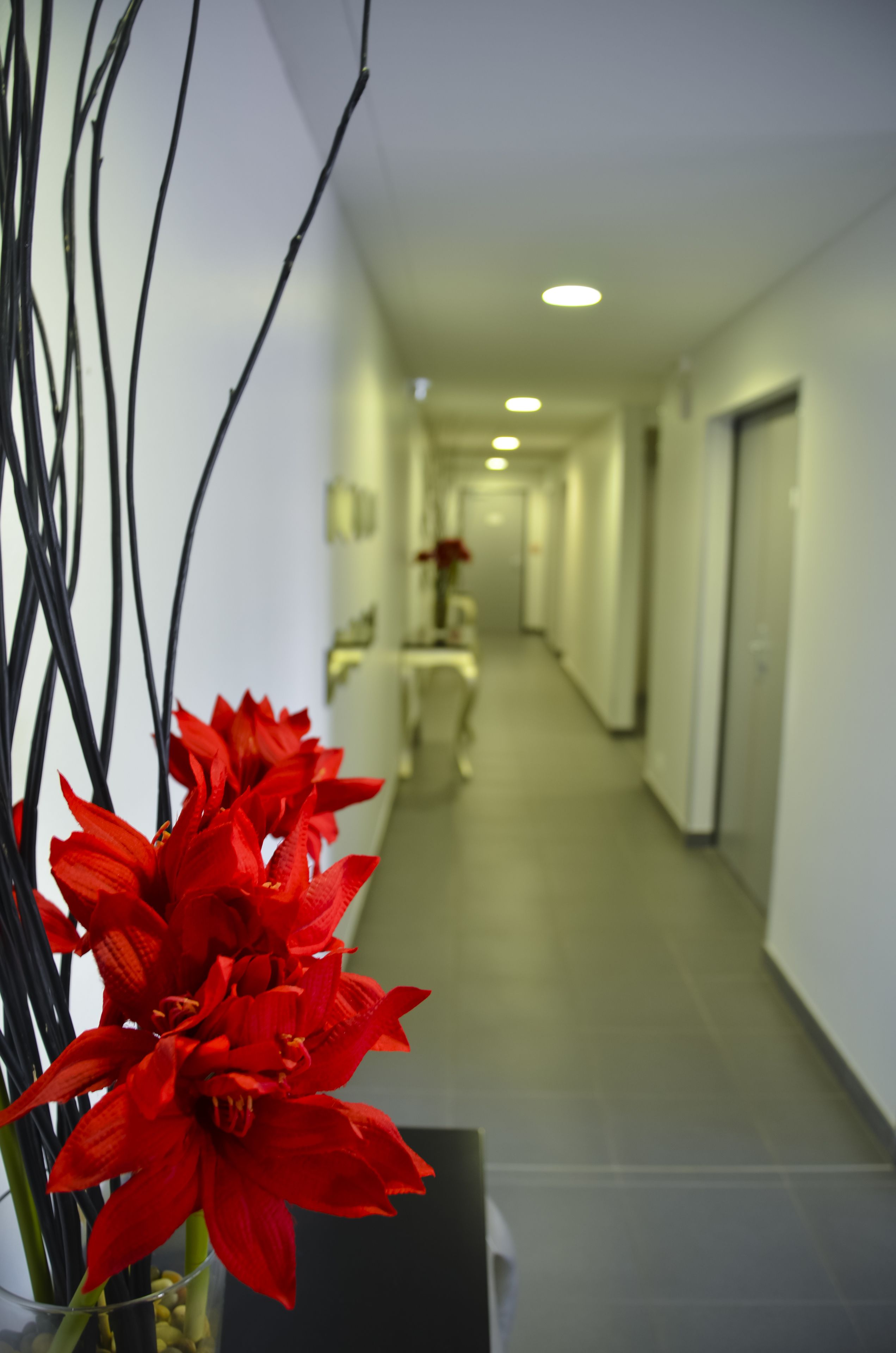 Een hotelgang met een rode bloemstelling in een vaas, een lange gang met deuren aan beide kanten, en een lichtgekleurde vloer.