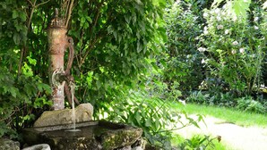A rustic outdoor water feature with a stone basin and a metal spout, surrounded by lush greenery and flowering plants.