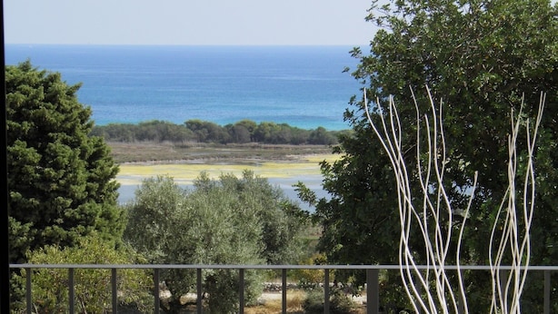 Un balcon avec vue sur la mer, une table avec des verres à vin et une bouteille, et un vase rempli de branches.