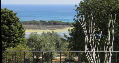 Pantanelli di Vendicari