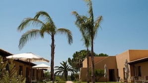 Un resort con palmeras, mobiliario exterior y cielo despejado.