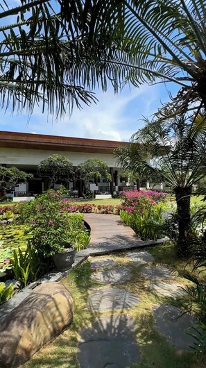 A garden pathway leading to a building with a modern architectural style, surrounded by lush greenery and flowering plants.