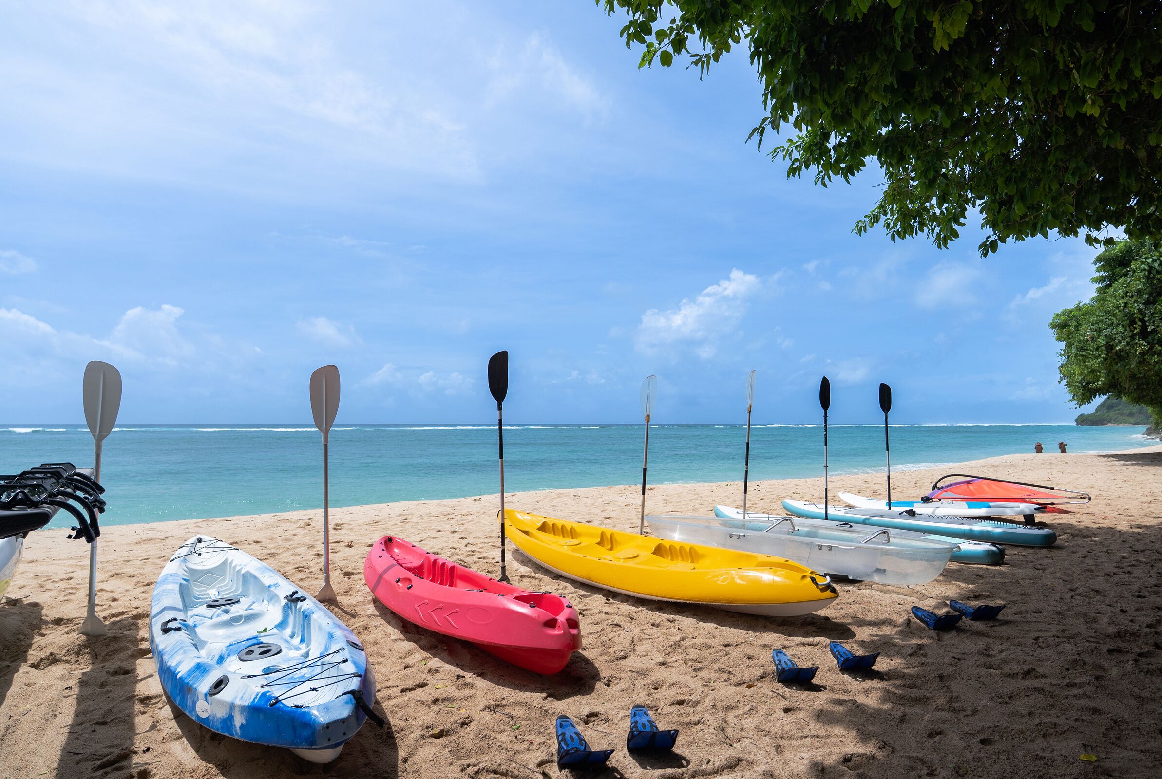A beach with kayaks and paddles lined up on the sand, a clear sky, and the ocean in the background.