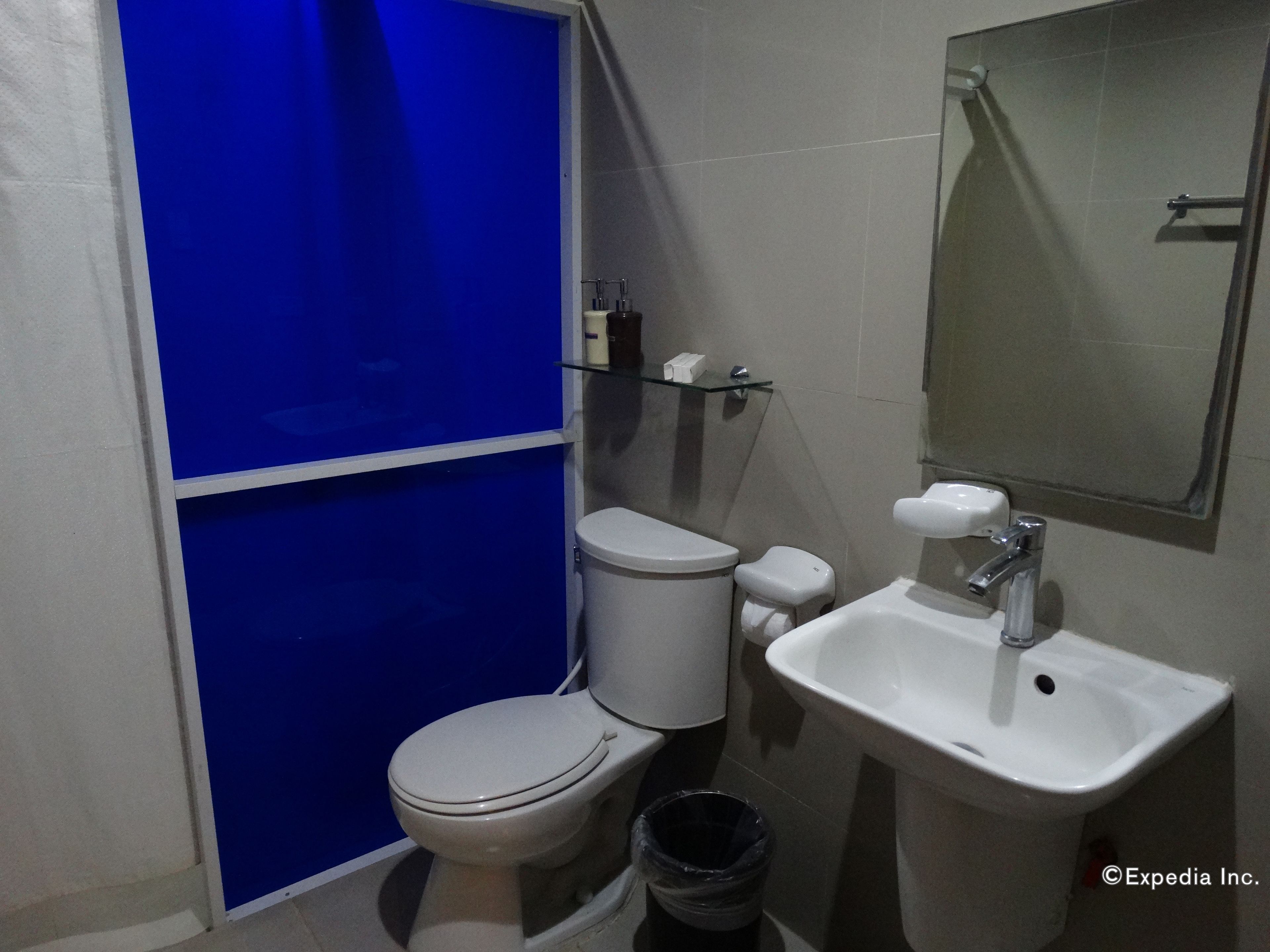 A small bathroom with a toilet, sink, and a blue partition.