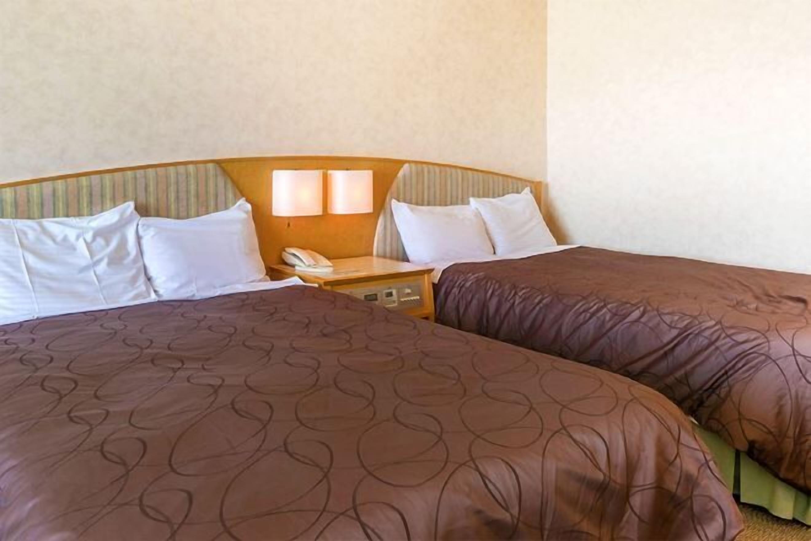 Cobrellits, caixa forta a l'habitació i habitacions insonoritzades 