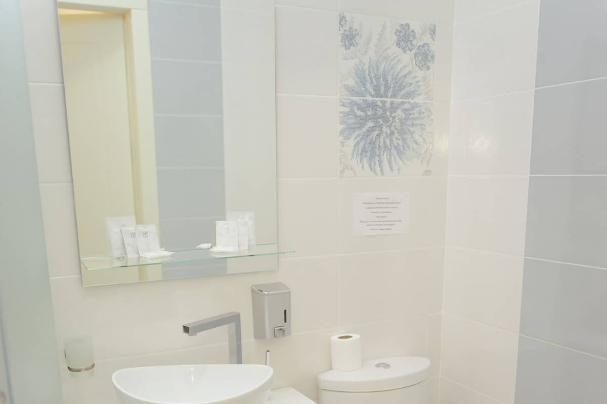 Economy Tek Kişilik Oda | Banyo | Duş, ücretsiz banyo/kozmetik ürünleri, saç kurutma makinesi, terlik