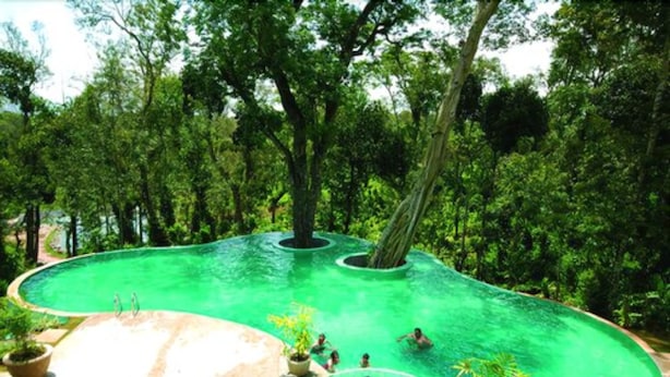 A swimming pool surrounded by lush greenery, with people swimming and relaxing. - The Windflower Resorts & Spa (Somvarpet)