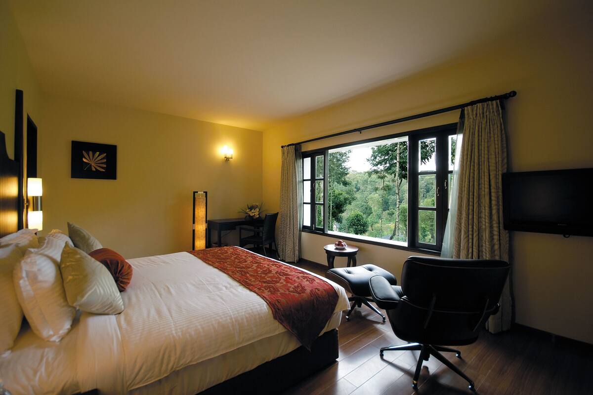 Habitación de hotel con cama, escritorio, silla, televisor y ventana con vistas al verdor.