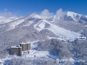 Eksteriør