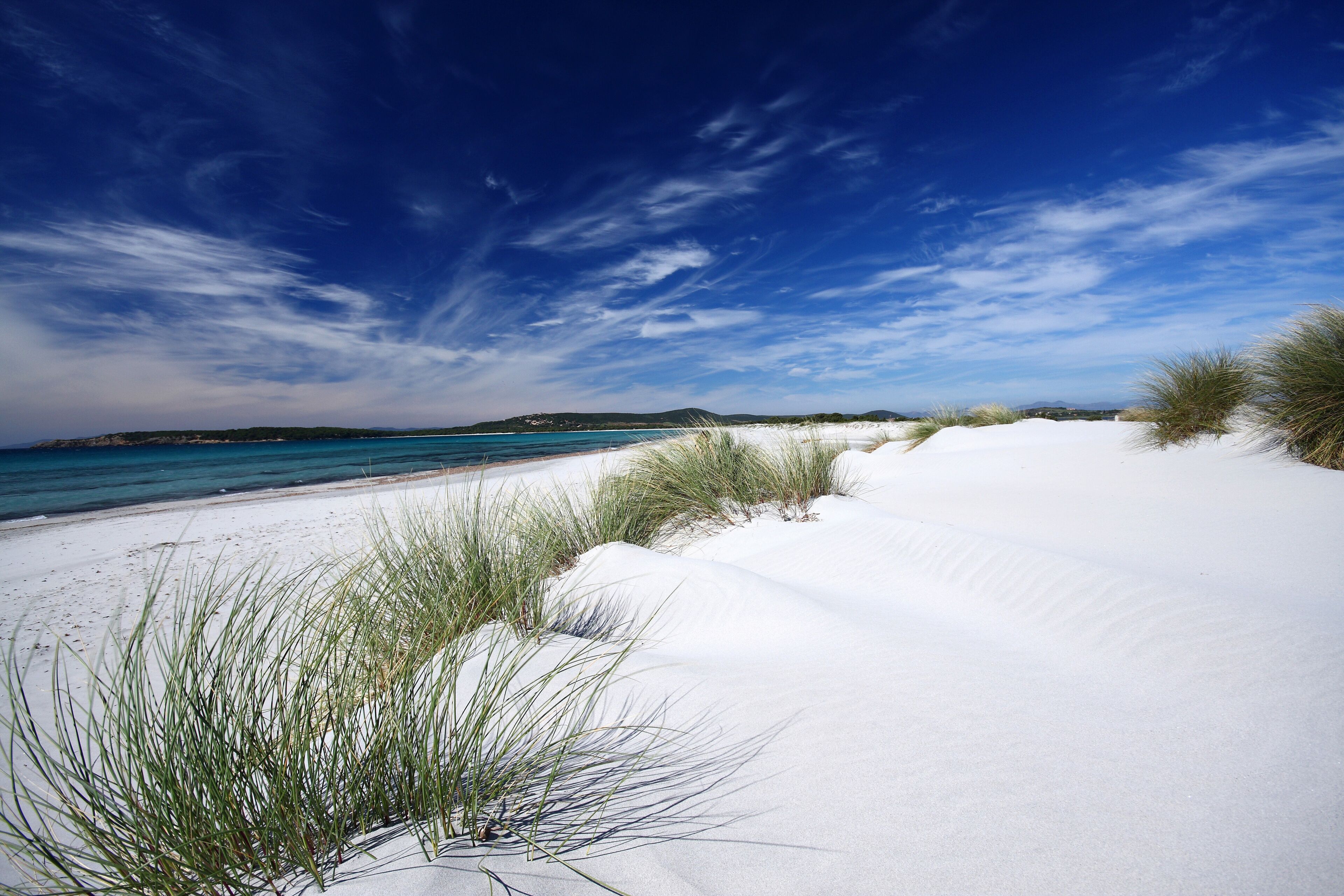 A beach with white sand and green grass, a clear blue sky, and a calm sea.
