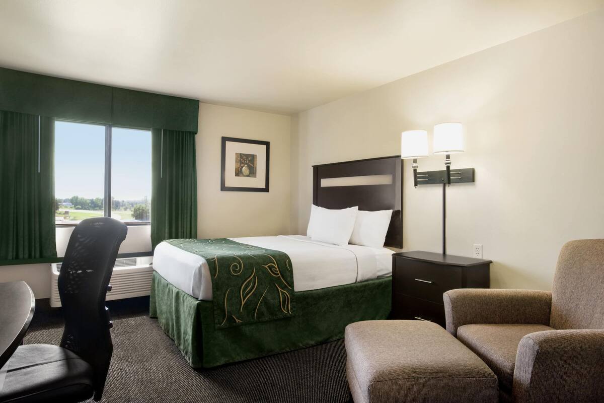 A hotel room with a bed, a desk, a chair, a nightstand, and a lamp.