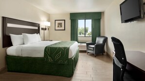 Habitación de hotel con cama, escritorio, silla, televisor y ventana con cortinas.