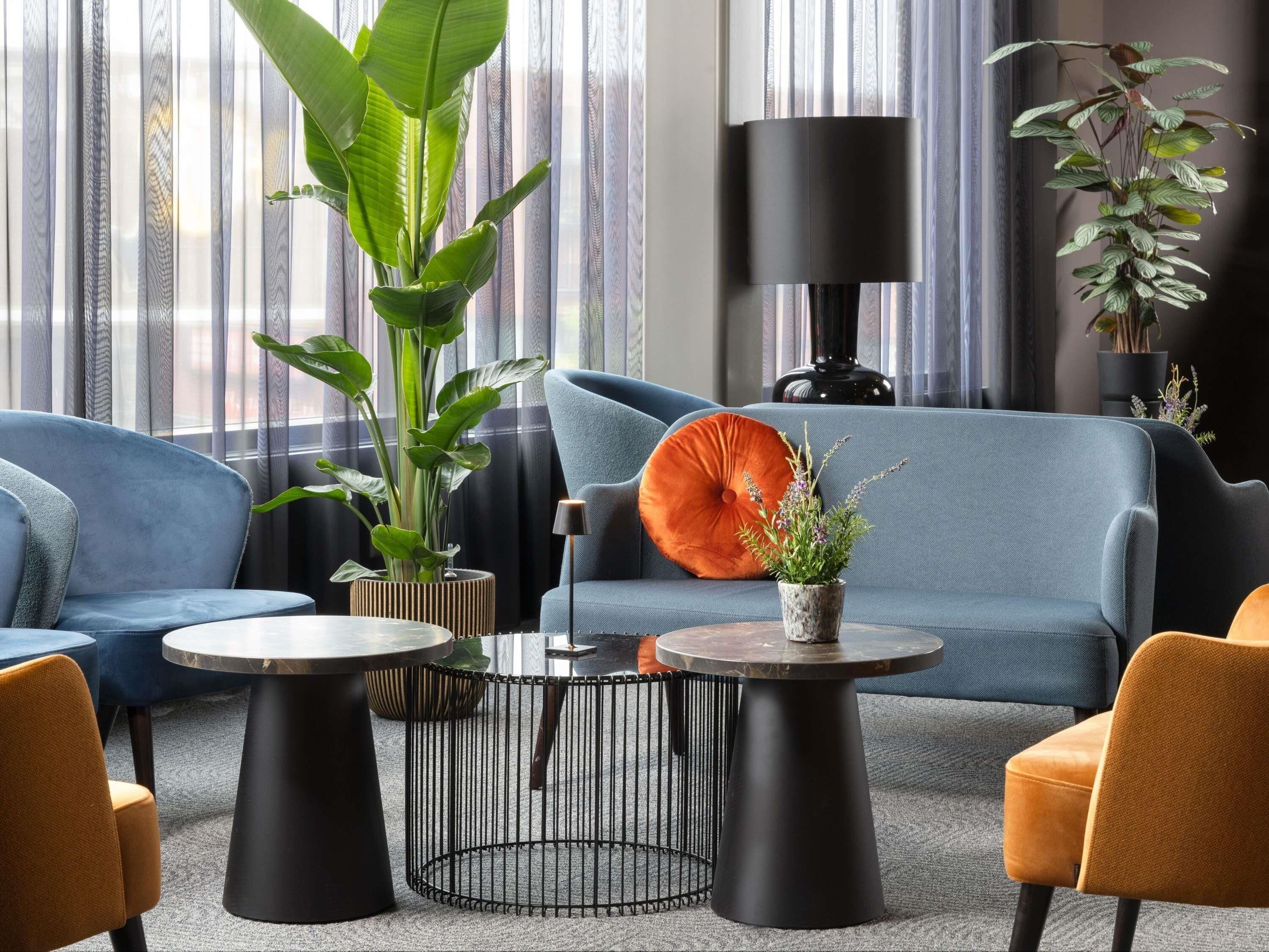 Un salon moderne avec un canapé bleu, deux tables rondes et une grande plante.