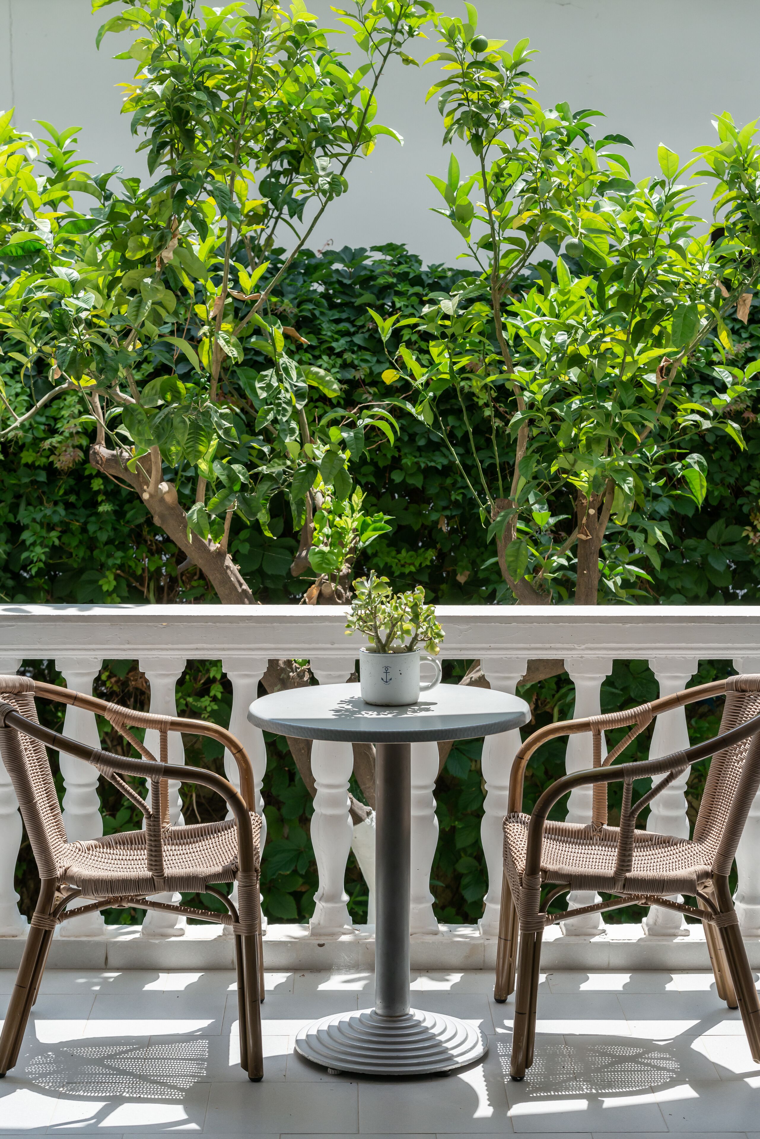 Foto - Contessa Hotel